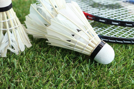 国体育人的 国体育人的